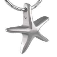 Zilverkleurige Ashanger Zeester &acirc;&euro;&ldquo; Staal Gedenksieraad Zonder Ketting - Unisex