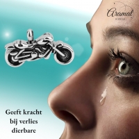 Stalen Ashanger Motor &acirc;&euro;&ldquo; Gedenksieraad voor Motorrijder Assieraad - Unisex