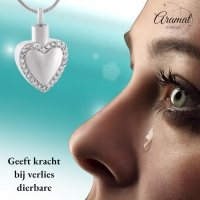 Stalen Ashanger Hart &acirc;&euro;&ldquo; Gedenkhanger Zilverkleurig Zonder Ketting - Unisex