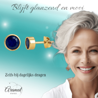 RVS oorbellen met donkerblauwe zirkonia &acirc;&euro;&ldquo; 6 mm -