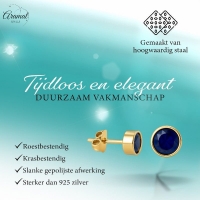 RVS oorbellen met donkerblauwe zirkonia &acirc;&euro;&ldquo; 6 mm -