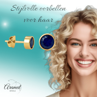 RVS oorbellen met donkerblauwe zirkonia &acirc;&euro;&ldquo; 6 mm -