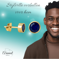 RVS oorbellen met donkerblauwe zirkonia &acirc;&euro;&ldquo; 6 mm -