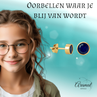 RVS oorbellen met donkerblauwe zirkonia &acirc;&euro;&ldquo; 6 mm -
