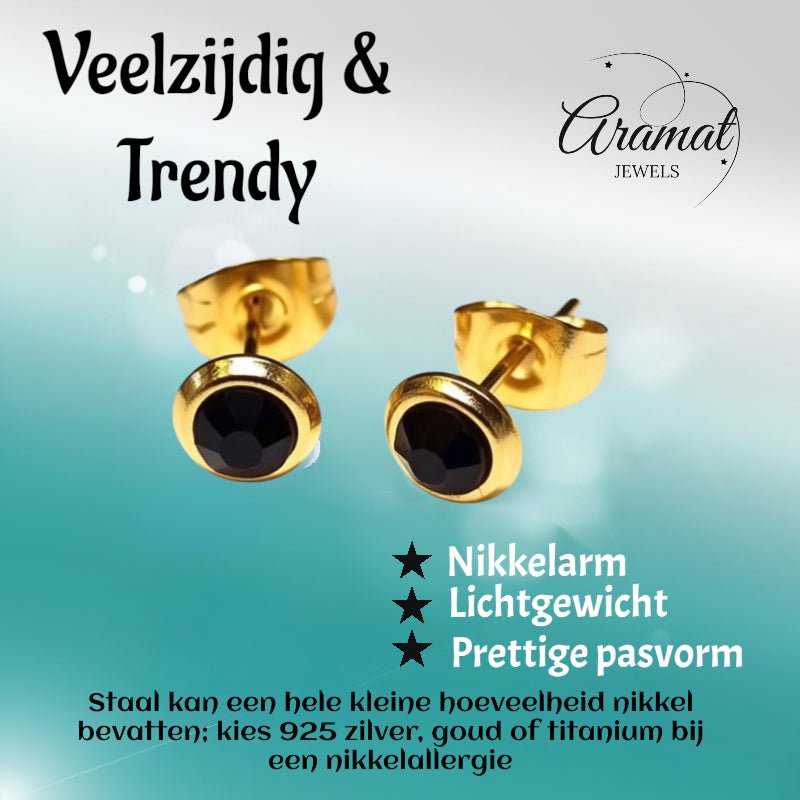 RVS Oorbellen Zwarte Kristal Goudkleur Rond 6mm - Elegante Oorstekers -