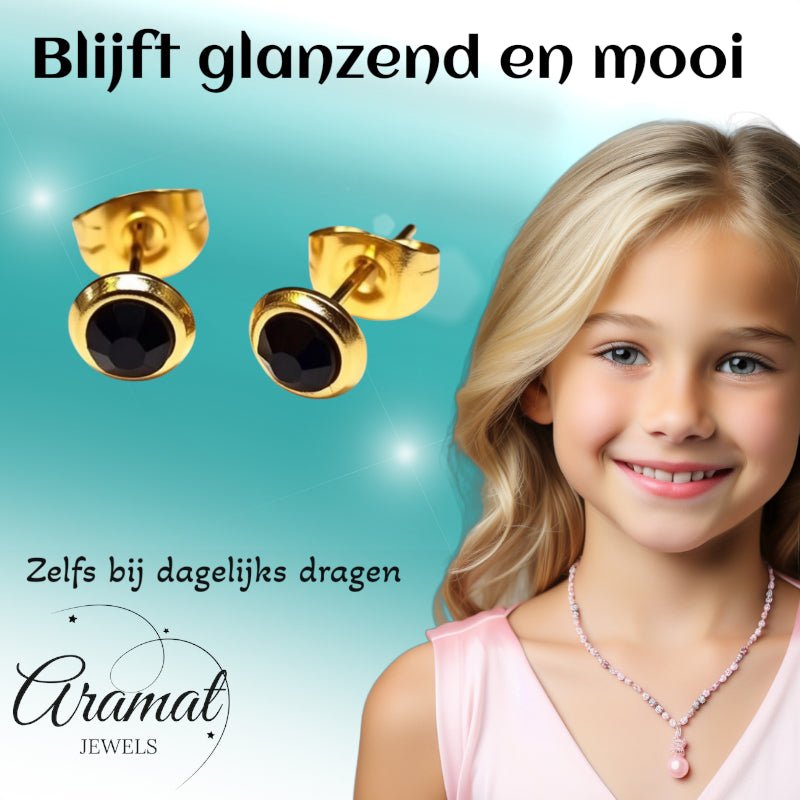 RVS Oorbellen Zwarte Kristal Goudkleur Rond 6mm - Elegante Oorstekers -