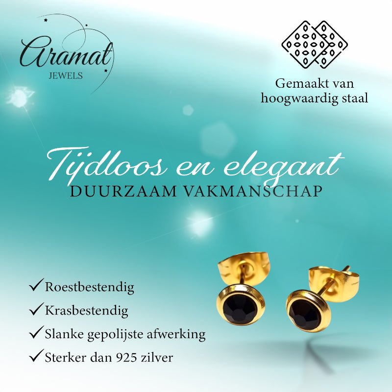 RVS Oorbellen Zwarte Kristal Goudkleur Rond 6mm - Elegante Oorstekers -