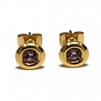 Oorbellen &acirc;&euro;&ldquo; RVS Goudkleurig met Roze Kristal (8mm) -