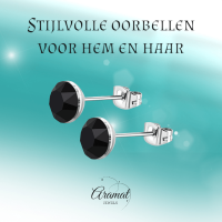 Zwarte Kristal Oorbellen RVS - 3mm -