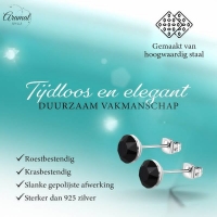 Zwarte Kristal Oorbellen RVS - 3mm -
