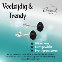 Zwarte Kristal Oorbellen RVS - 3mm -