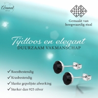 Zwarte Kristal Oorbellen RVS - 3mm -