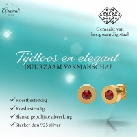 Rode Kristal Oorbellen met goudkleurige Afwerking -