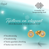 Goudkleurige Ronde Oorbellen met Zirkonia -