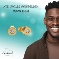 Goudkleurige Ronde Oorbellen met Zirkonia -