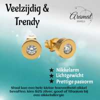 Goudkleurige Ronde Oorbellen met Zirkonia -