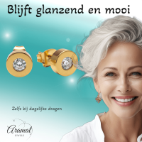 Goudkleurige Ronde Oorbellen met Zirkonia -