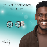Ronde Stalen Oorbellen met Lichtblauwe Zirkonia - Unisex