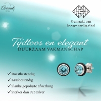 Ronde Stalen Oorbellen met Lichtblauwe Zirkonia - Unisex