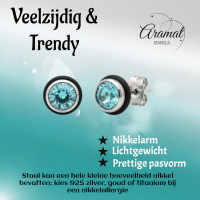 Ronde Stalen Oorbellen met Lichtblauwe Zirkonia - Unisex
