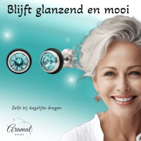 Ronde Stalen Oorbellen met Lichtblauwe Zirkonia - Unisex