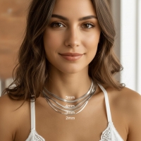 Platte Slangenketting Zilverkleurig Staal &acirc;&euro;&ldquo; Elegante Snake Chain RVS - 1.6mm / 55