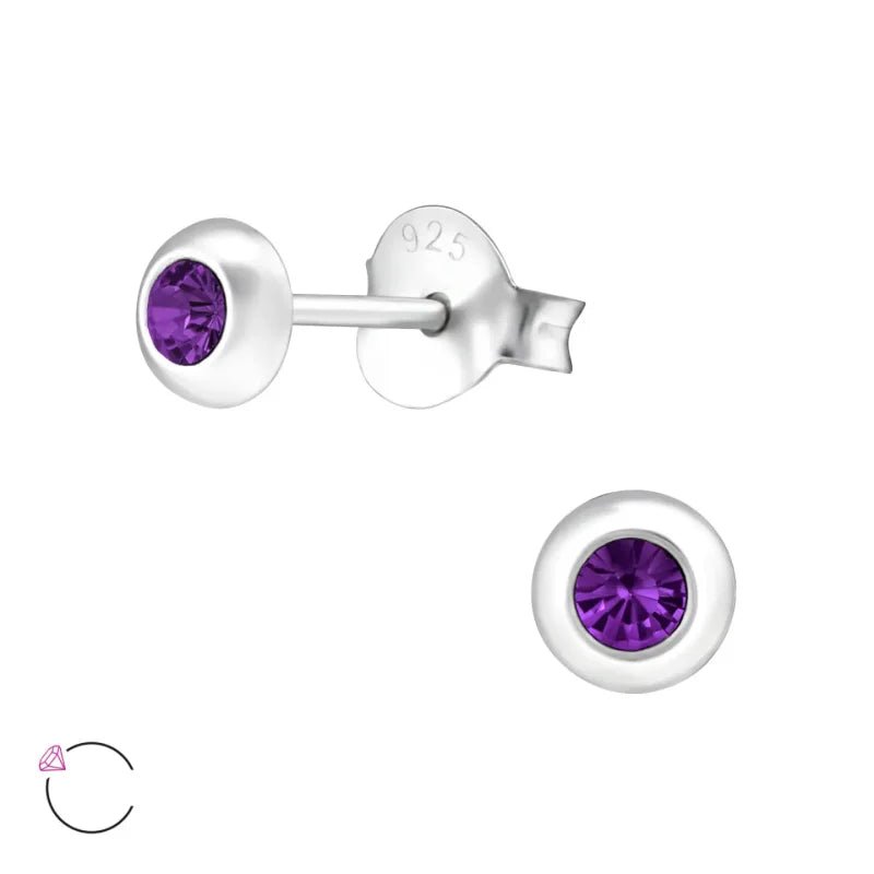 Zilveren Kristallen Oorbellen - 4mm - Transparant -