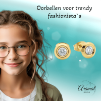 Dames oorbellen rond met kristal - RVS -