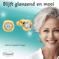 Dames oorbellen rond met kristal - RVS -