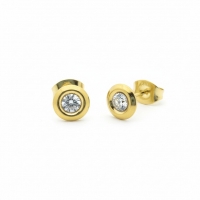 Dames oorbellen rond met kristal - RVS -
