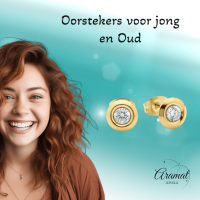 Dames oorbellen rond met kristal - RVS -