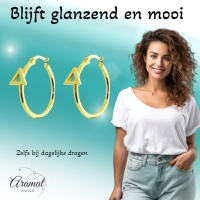 Oorringen &acirc;&euro;&ldquo; Staal Driehoek Goudkleurig (24mm) -