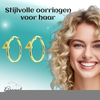 Oorringen &acirc;&euro;&ldquo; Staal Driehoek Goudkleurig (24mm) -