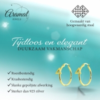 Oorringen &acirc;&euro;&ldquo; Staal Driehoek Goudkleurig (24mm) -