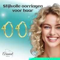 Oorringen &acirc;&euro;&ldquo; Staal Driehoek Goudkleurig (24mm) -