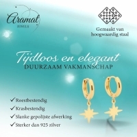 Gouden Oorbellen met Ishster Ster Bedel 10mm -