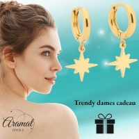 Gouden Oorbellen met Ishster Ster Bedel 10mm -