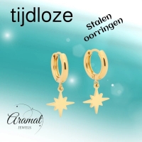 Gouden Oorbellen met Ishster Ster Bedel 10mm -