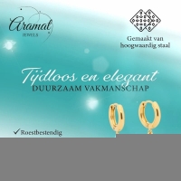 Gouden Oorbellen met Ishster Ster Bedel 10mm -