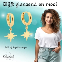 Gouden Oorbellen met Ishster Ster Bedel 10mm -