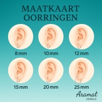 Oorringen &acirc;&euro;&ldquo; 16mm Creolen met Ananas Bedel RVS Ros&Atilde;&copy;kleur Dames -