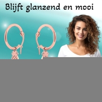 Oorringen &acirc;&euro;&ldquo; 16mm Creolen met Ananas Bedel RVS Ros&Atilde;&copy;kleur Dames -