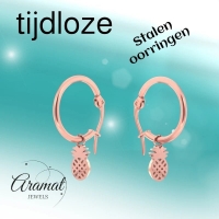 Oorringen &acirc;&euro;&ldquo; 16mm Creolen met Ananas Bedel RVS Ros&Atilde;&copy;kleur Dames -