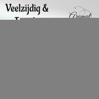 Oorringen &acirc;&euro;&ldquo; 16mm Creolen met Ananas Bedel RVS Ros&Atilde;&copy;kleur Dames -