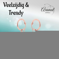 Oorringen &acirc;&euro;&ldquo; 16mm Creolen met Ananas Bedel RVS Ros&Atilde;&copy;kleur Dames -
