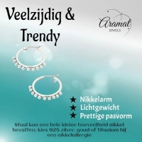 Zilverkleurige Stalen Oorringen met Bolletjes | 20mm -