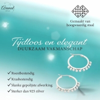 Zilverkleurige Stalen Oorringen met Bolletjes | 20mm -
