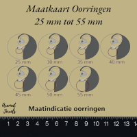 Oorhangers 925 Zilver Kristal Hartje - 10mm -