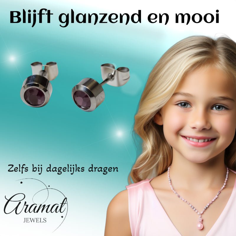 Oorbellen &acirc;&euro;&ldquo; Staal Licht Paarse Kristal (6mm) -