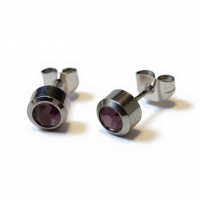 Oorbellen &acirc;&euro;&ldquo; Staal Licht Paarse Kristal (6mm) -